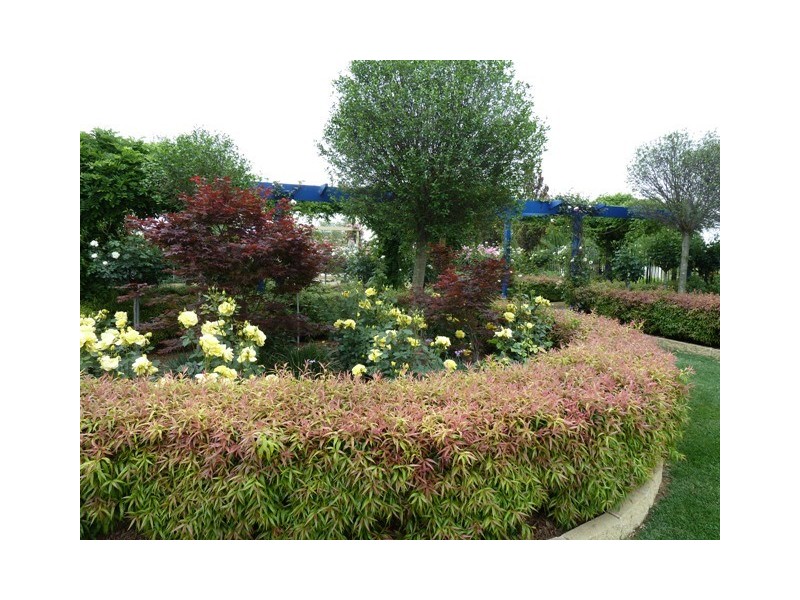 223 McSwains Road, Echuca VIC 3564