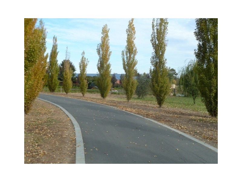 223 McSwains Road, Echuca VIC 3564