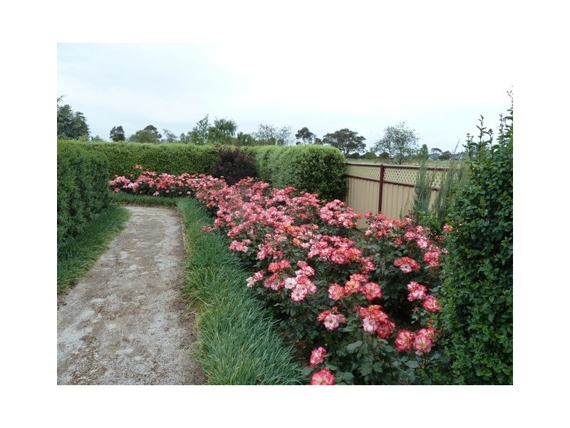 223 McSwains Road, Echuca VIC 3564