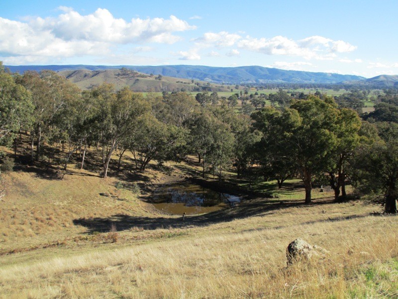 159 Halls Flat Road, Alexandra VIC 3714