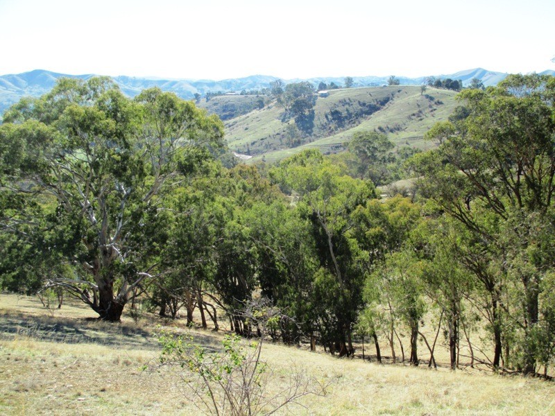 159 Halls Flat Road, Alexandra VIC 3714