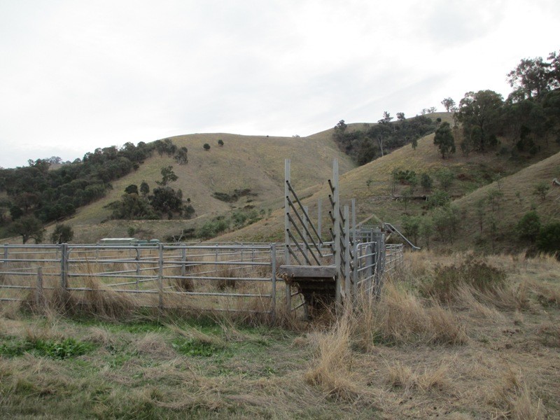 451 Stoney Creek Rd, Alexandra VIC 3714