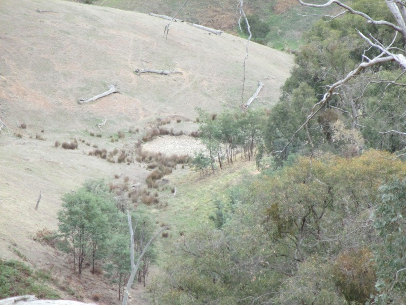 451 Stoney Creek Rd, Alexandra VIC 3714