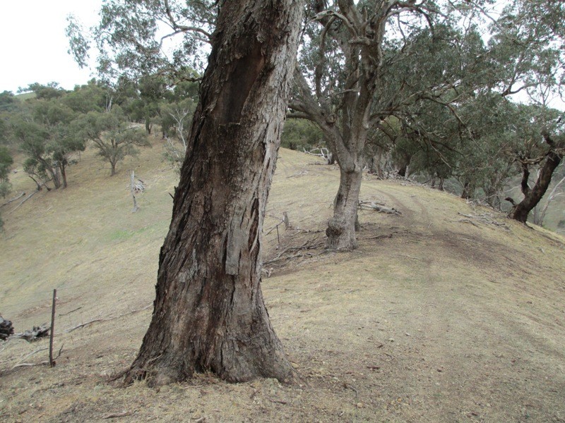 451 Stoney Creek Rd, Alexandra VIC 3714