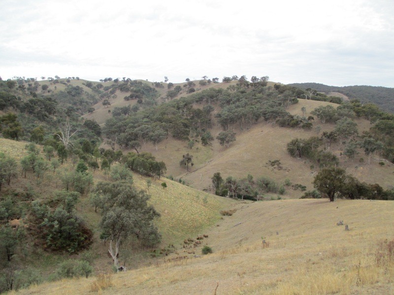 451 Stoney Creek Rd, Alexandra VIC 3714