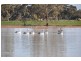 Lot 3 Kinnards Road, Numurkah VIC 3636