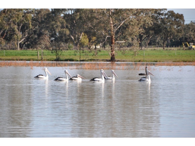 Lot 3 Kinnards Road, Numurkah VIC 3636