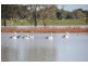 Lot 3 Kinnards Road, Numurkah VIC 3636