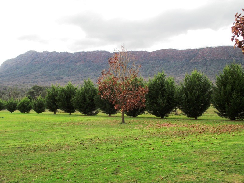 5 South Cathedral Lane, Buxton VIC 3711