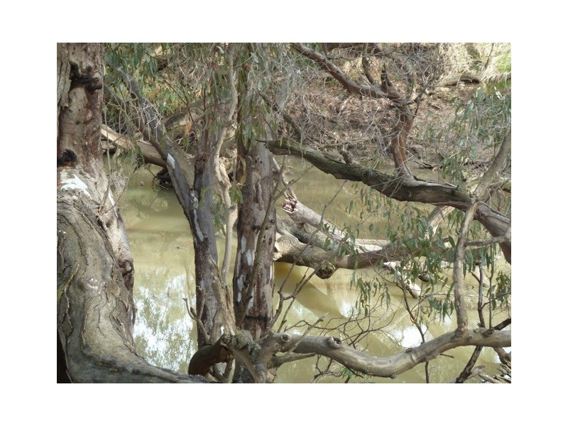 598 Anderson Road, Echuca VIC 3564