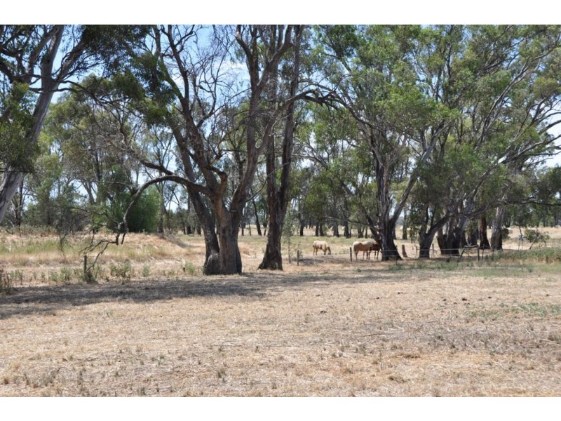 460 West Bunbartha Road, Tallygaroopna VIC 3634