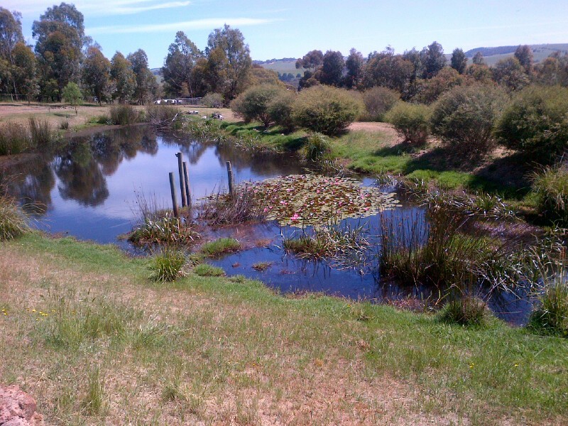 31 Payne Street, Coleraine VIC 3315