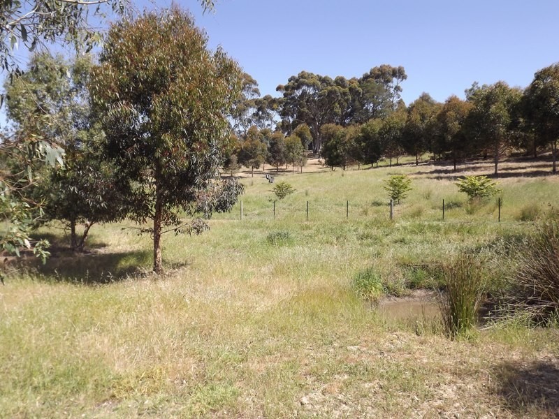 31 Payne Street, Coleraine VIC 3315