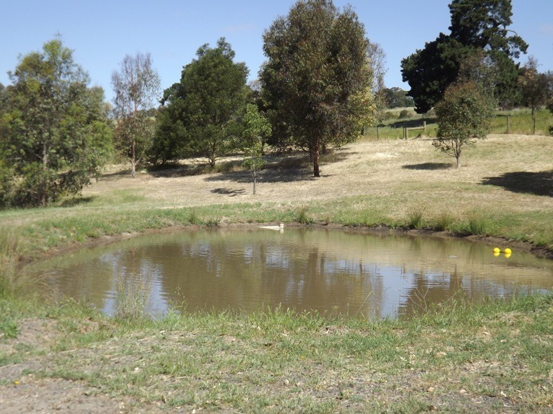 31 Payne Street, Coleraine VIC 3315