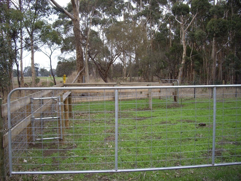 31 Payne Street, Coleraine VIC 3315