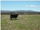 - Sungarrin Road, Seymour VIC 3660