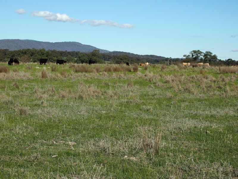 - Sungarrin Road, Seymour VIC 3660