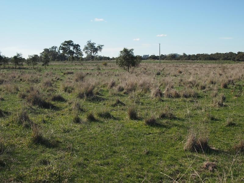 - Sungarrin Road, Seymour VIC 3660