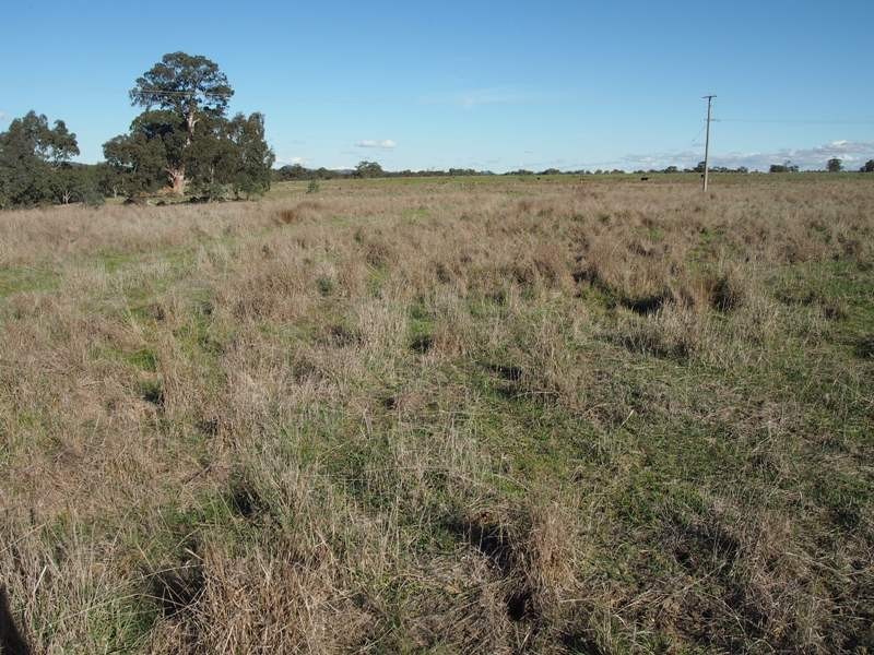 - Sungarrin Road, Seymour VIC 3660