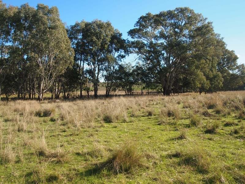 - Sungarrin Road, Seymour VIC 3660