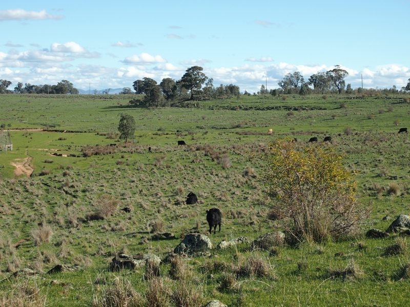 - Sungarrin Road, Seymour VIC 3660