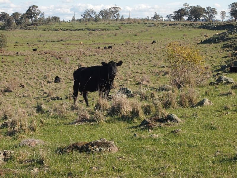 - Sungarrin Road, Seymour VIC 3660