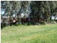 590 Stratton Road, Echuca VIC 3564