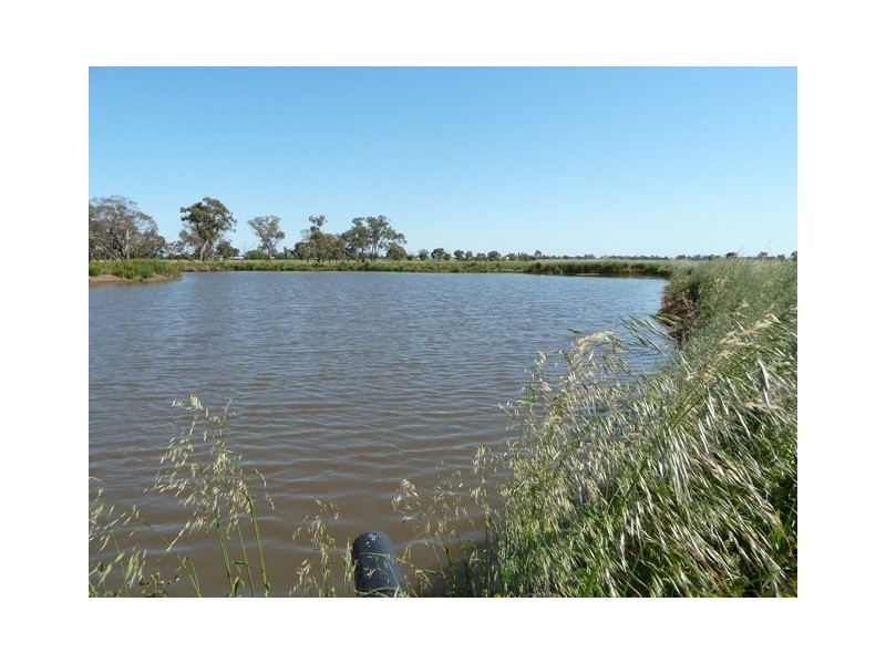 590 Stratton Road, Echuca VIC 3564