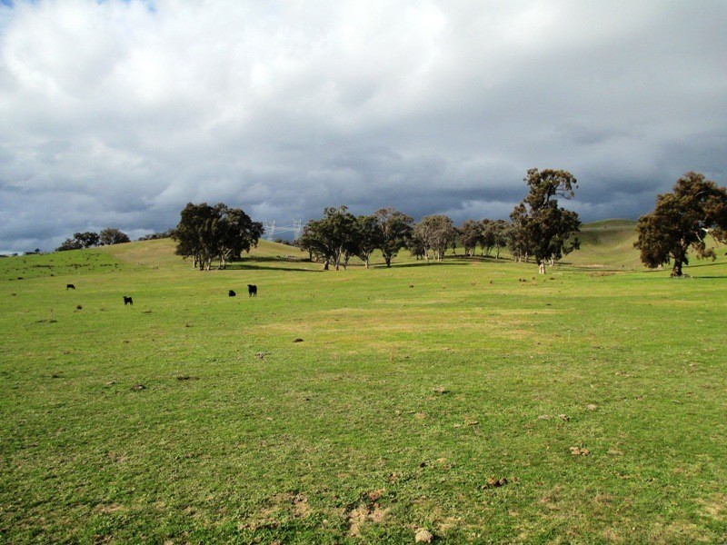 Alexandra VIC 3714