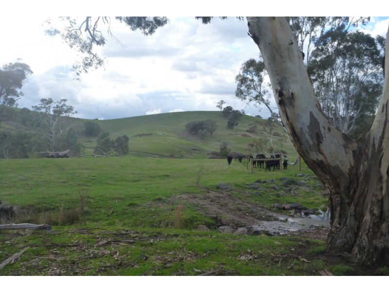 1480 Highlands Road, Whiteheads Creek VIC 3660