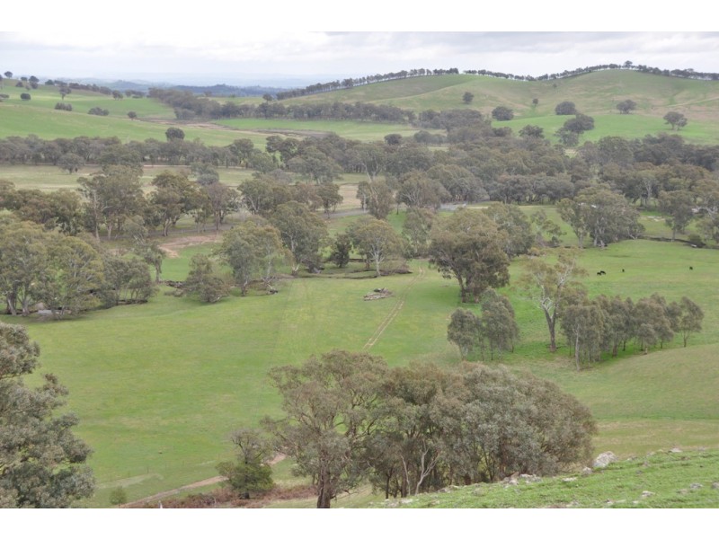 1480 Highlands Road, Whiteheads Creek VIC 3660
