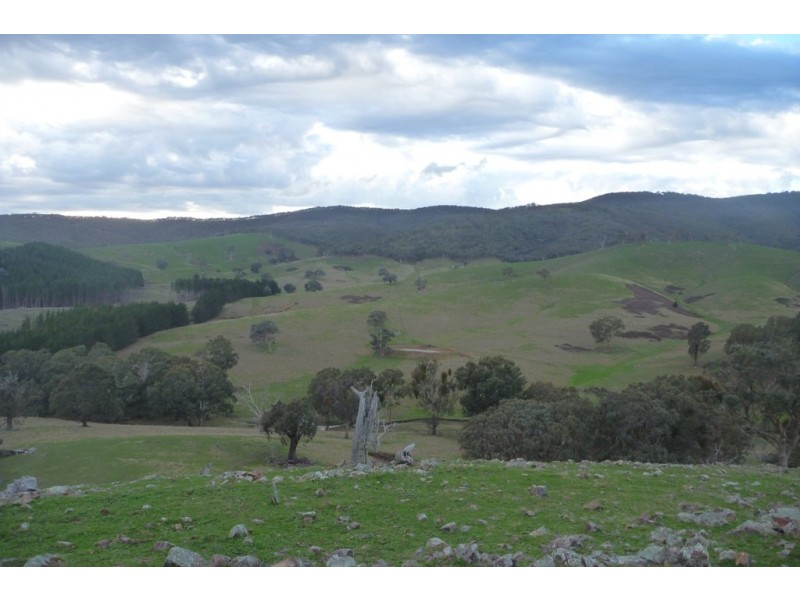 1480 Highlands Road, Whiteheads Creek VIC 3660
