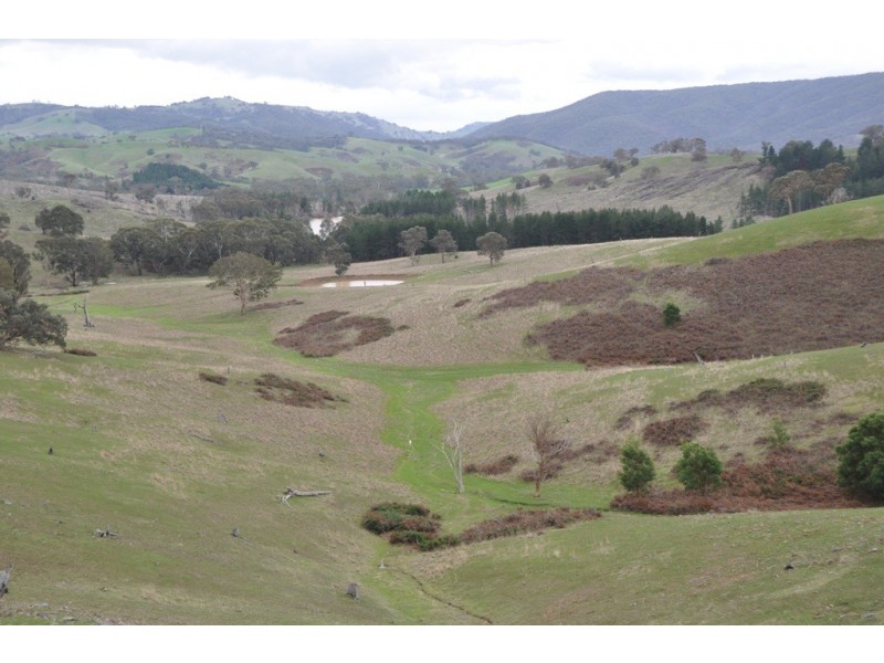 1480 Highlands Road, Whiteheads Creek VIC 3660