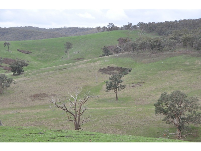1480 Highlands Road, Whiteheads Creek VIC 3660