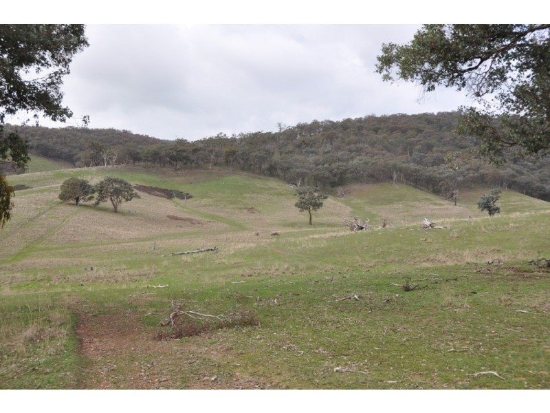1480 Highlands Road, Whiteheads Creek VIC 3660