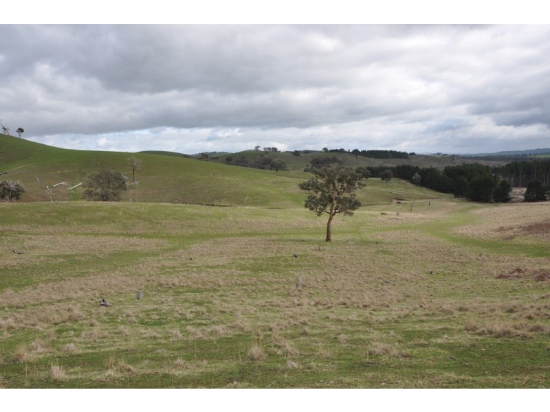 1480 Highlands Road, Whiteheads Creek VIC 3660