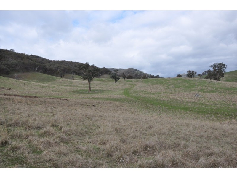 1480 Highlands Road, Whiteheads Creek VIC 3660