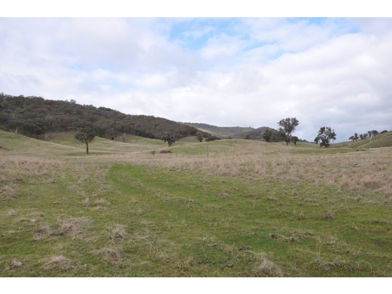 1480 Highlands Road, Whiteheads Creek VIC 3660
