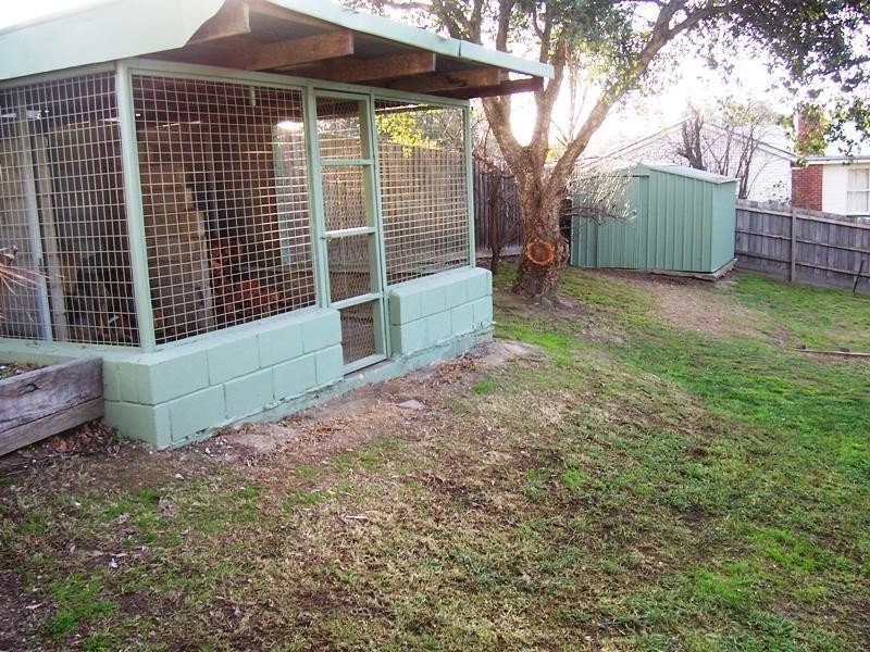 11 Downey St, Alexandra VIC 3714