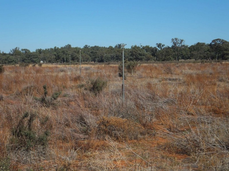 - Sturt Highway, Euston NSW 2737