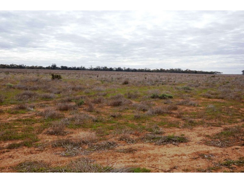 - Sturt Highway, Euston NSW 2737