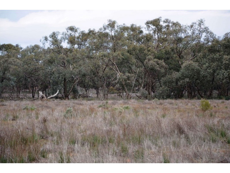 - Sturt Highway, Euston NSW 2737