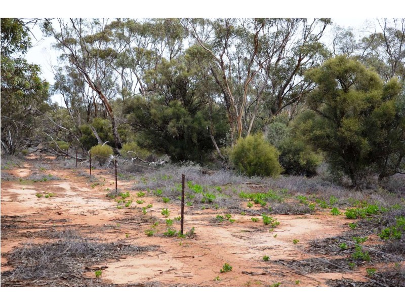 - Sturt Highway, Euston NSW 2737