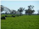 Preston Lane, Moama NSW 2731