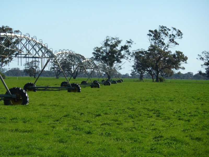 Preston Lane, Moama NSW 2731
