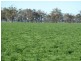 Preston Lane, Moama NSW 2731