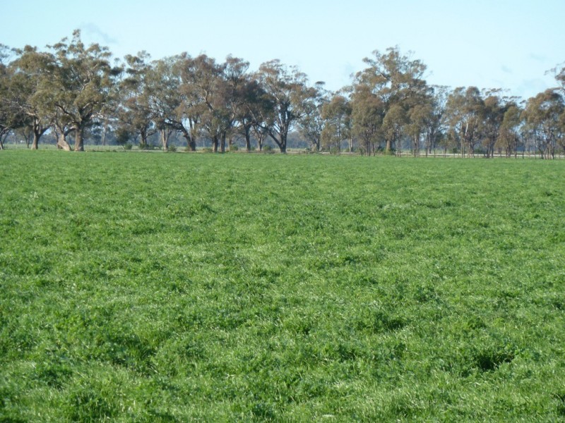 Preston Lane, Moama NSW 2731