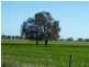 Preston Lane, Moama NSW 2731
