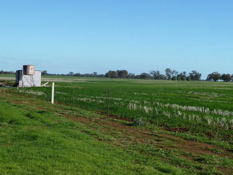 Preston Lane, Moama NSW 2731