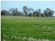 Preston Lane, Moama NSW 2731